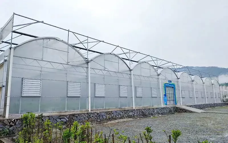 Plastic Greenhouses: A Smart Solution for Modern Farming